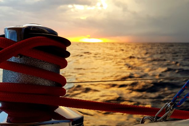 Indulge Yourself with a Themed Sailing Cruise